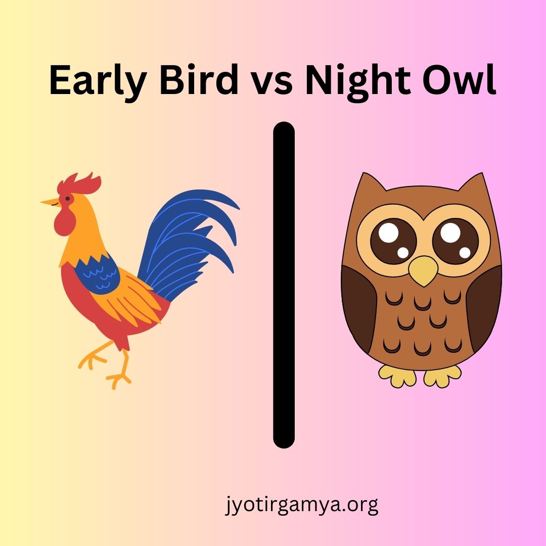 chronotype-early-bird-night-owl