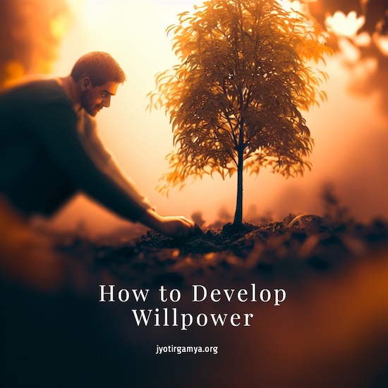 how-develop-willpower