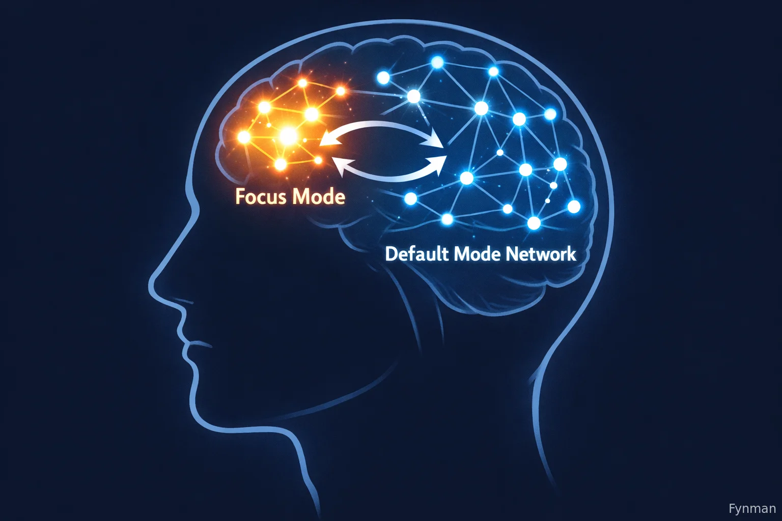 Diagram comparing Focus Mode and Default Mode Network in the brain.
