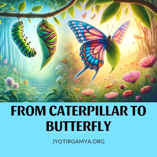 butterpillar-title