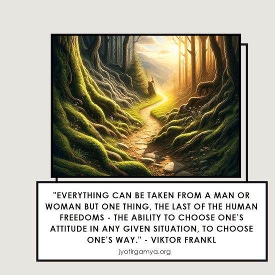 viktor-frankl-man-search-meaning-quote.jpg
